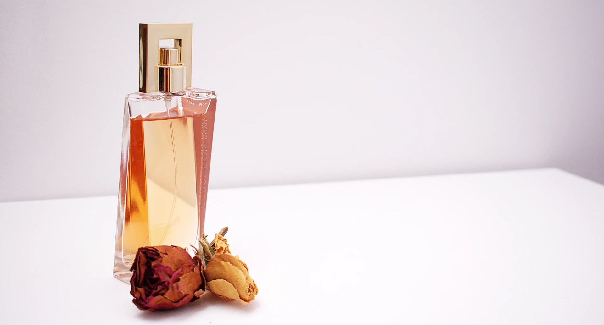 Home - Perfume Store Demo Divi perfume store